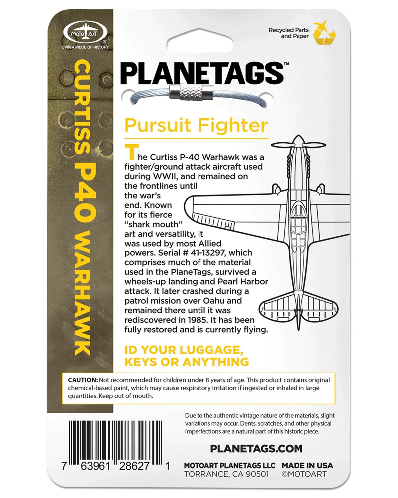Custom Curtiss P-40 Warhawk - Image 2