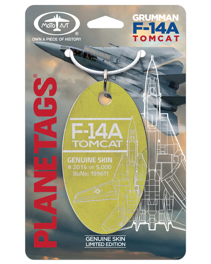 Custom F-14A TOMCAT 159611 - Image 4
