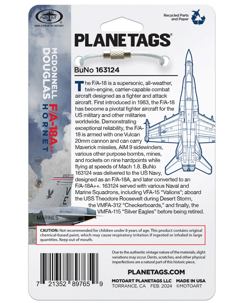 Custom F-18 Hornet 163124 - Image 4