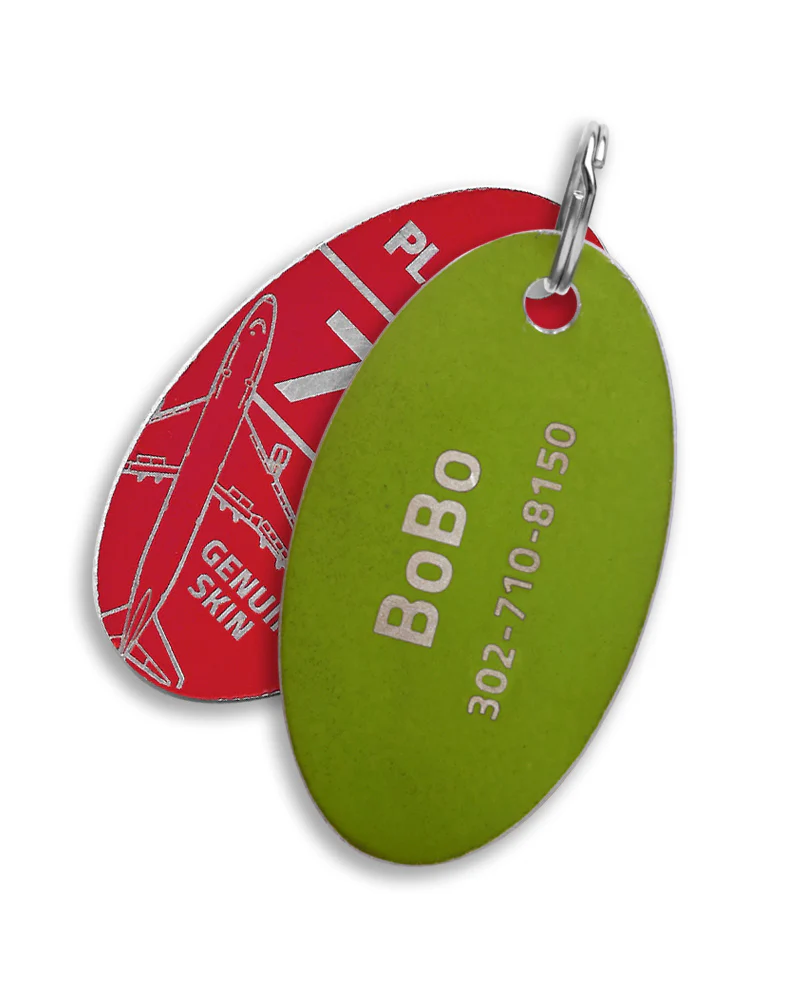 Custom McDonnell Douglas MD-80 PlaneTags Pet Tags - Image 4