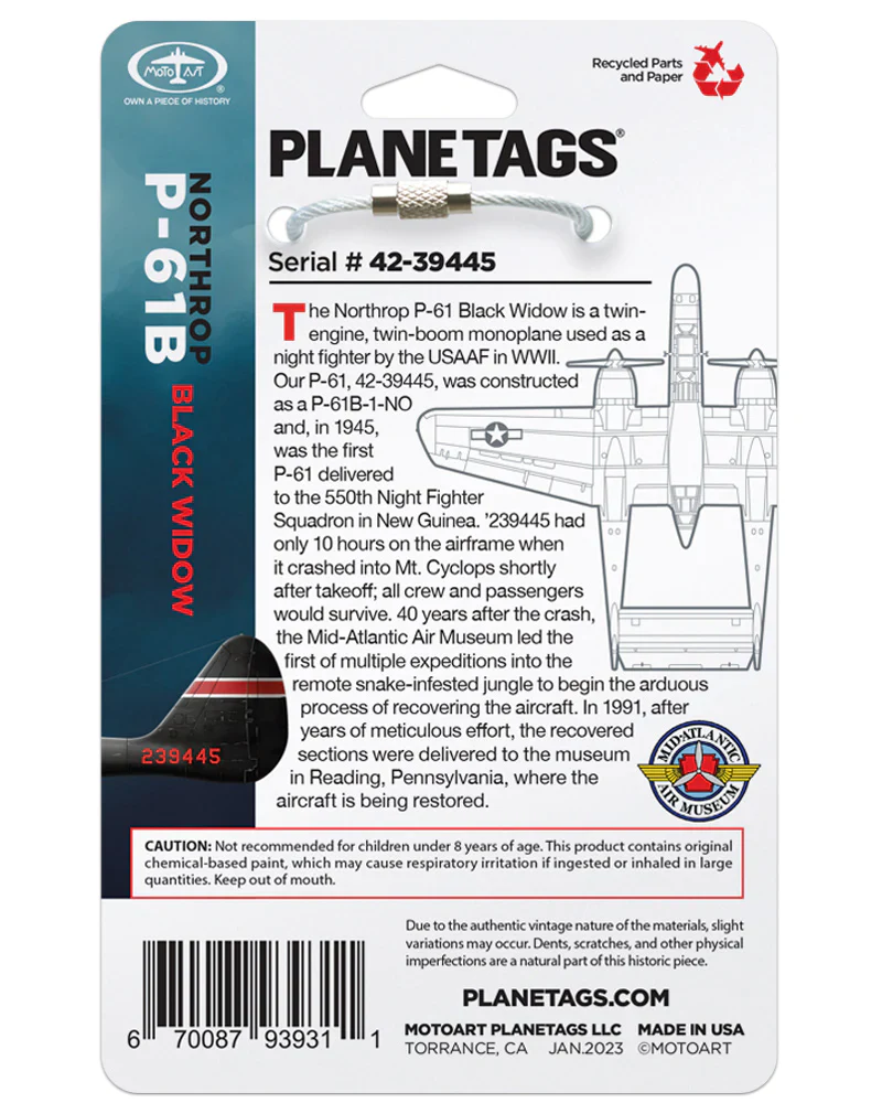 Custom P-61B BLACK WIDOW 42-39445 - Image 3