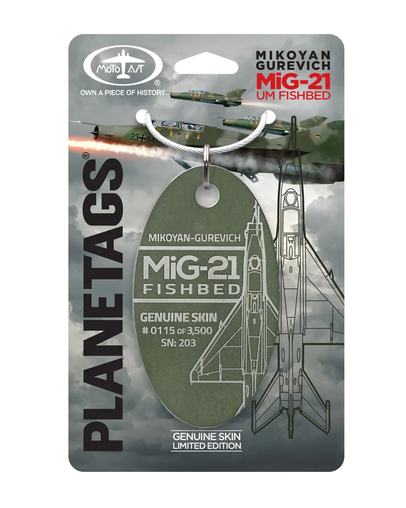 MiG-21 FISHBED 203 - Image 6