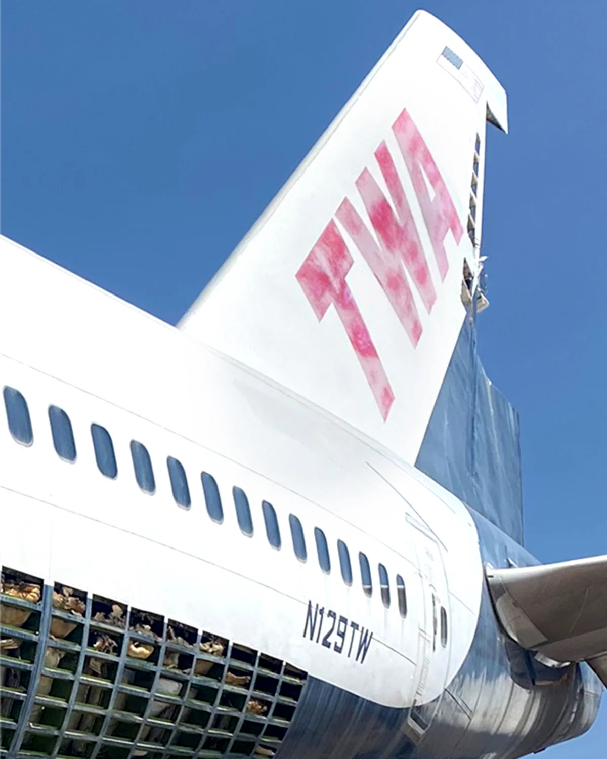 TWA 747-100 - PLANETAGS TAIL #N129TW - Image 5